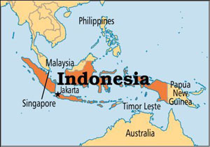 خنثی شدن یک حمله تروریستی در اندونزی از سوی پلیس این کشور