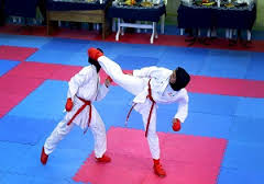 جمع آوری آمار دقیق ورزشکاران سازمان یافته کاراته