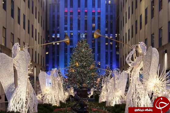 باشکوه ترین درختان کریسمس در جهان+ عکس