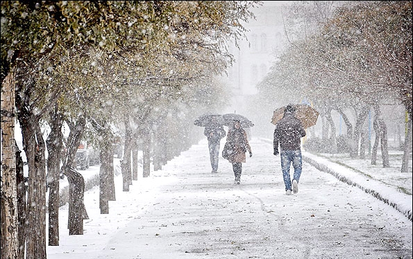 پیش بینی بارش برف و باران در استان