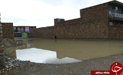 بارش باران باعث طغیان رودخانه ها شد +تصاویر