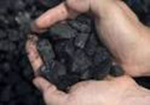 کشف 15 کیسه زغال بلوط درشهرستان پلدختر