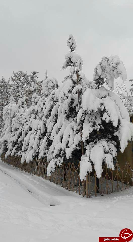 تصاویری زیبا از برف در افغانستان