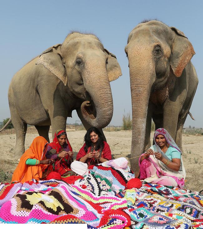اقدام جالب زنان هندی برای حفاظت از فیلها در برابر سرما+تصاویر