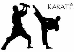 فعالیت حدود 17 هزار کاراته در استان
