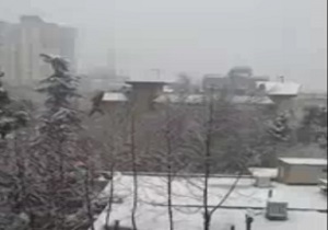 بارش زیبای برف در پایتخت + فیلم