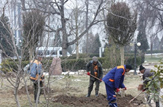 فراخوان مشارکت مردمی برای کاشت نهال در هفته درختکاری