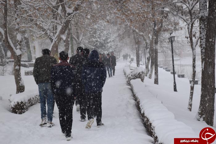 بارش زیبای برف و سفید پوش شدن آذربایجان غربی+تصاویر