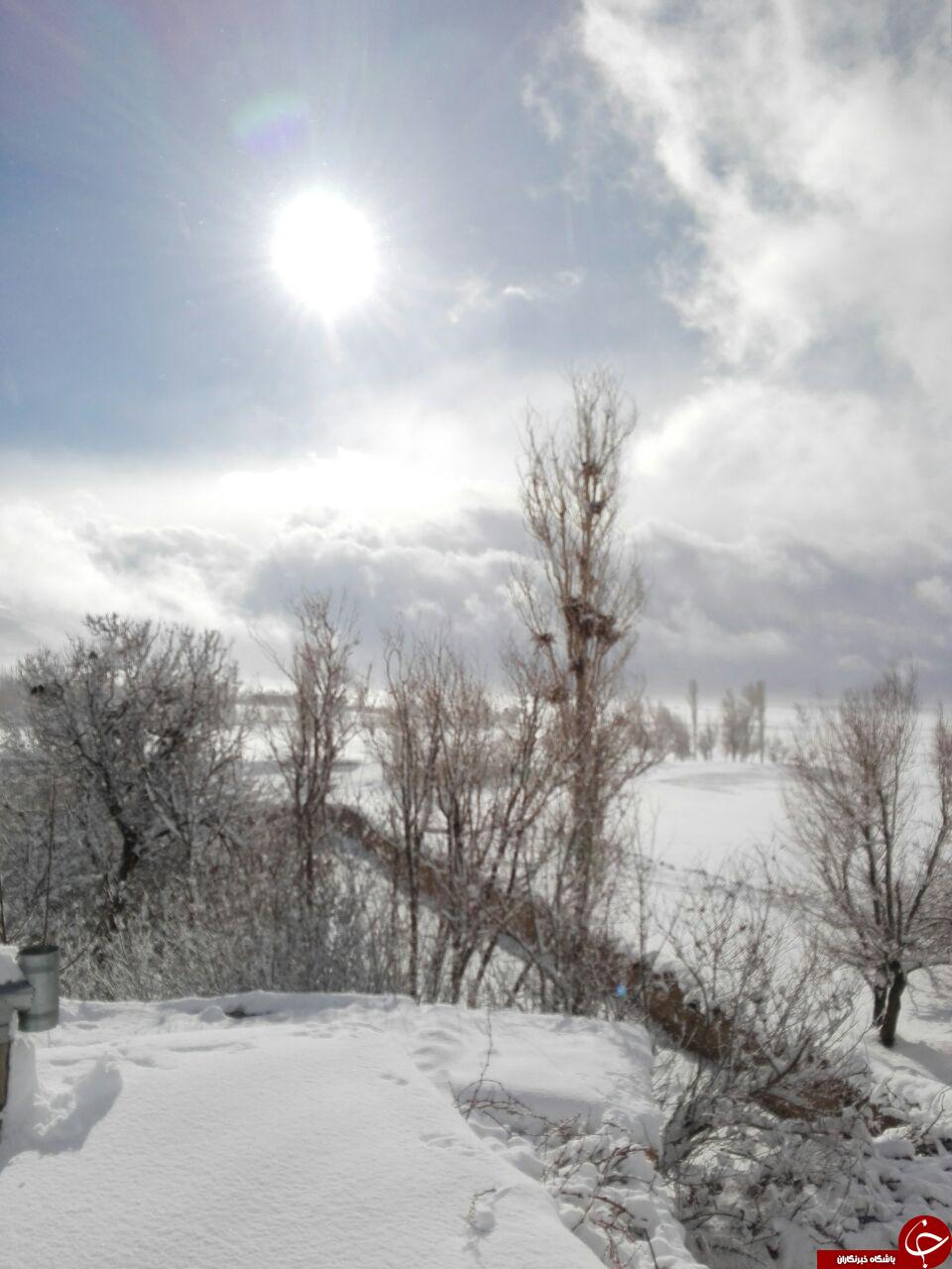 نمای برفی زیبا در فریدون + تصاویر