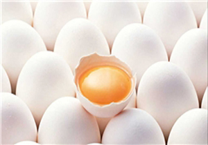 تخم‌مرغ‌های «طلا» در سبد مصرف خانوار