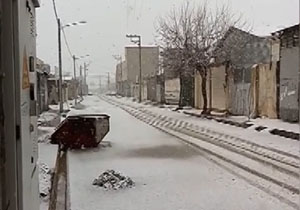 بارش برف در مشهد مقدس + فیلم