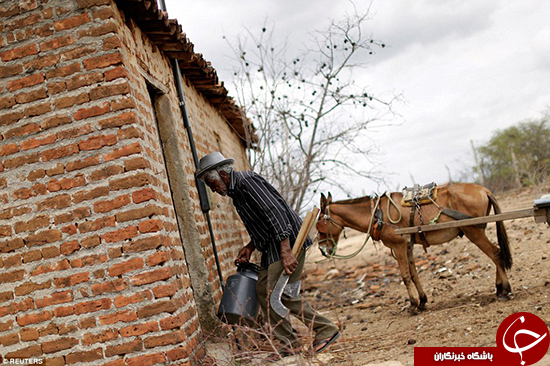 خشکسالی در برزیل بیداد می‌کند +تصاویر