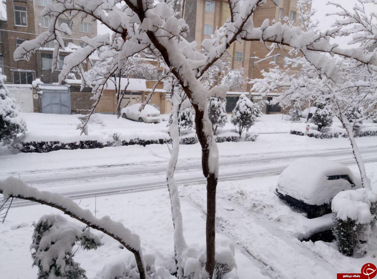 برف مشهد را سفیدپوش کرد +تصاویر