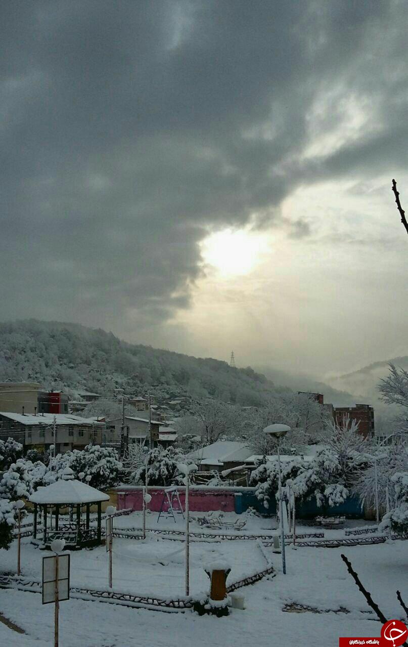 مناظری زیبا از بارش برف مازندران+ تصاویر