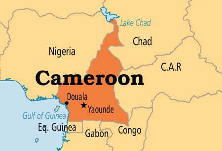سقوط بالگردی در کامرون و کشته شدن 4 نظامی