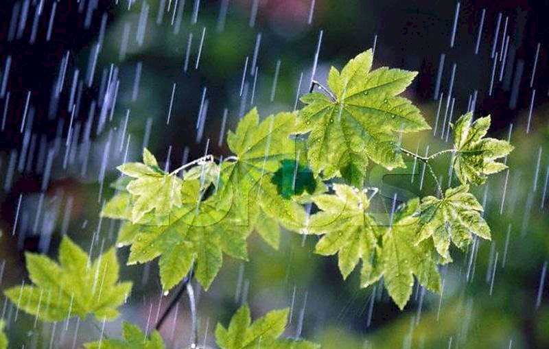 تداوم فعالیت سامانه بارشی در استان تا سه شنبه