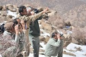دستگیری 31 شکارچی متخلف در دی ماه سال جاری