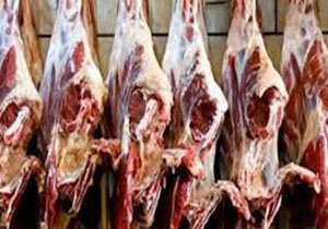 معدوم سازی بیش از 300 کیلوگرم گوشت فاسد در لرستان