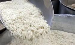 کشف 10 تن برنج قاچاق در شهرستان کنگاور