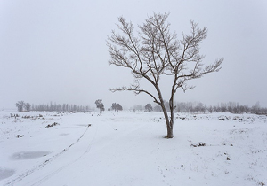 مسدود شدن راه ارتباطی 17 روستای شهرستان دوره‌چگنی براثر بارش برف