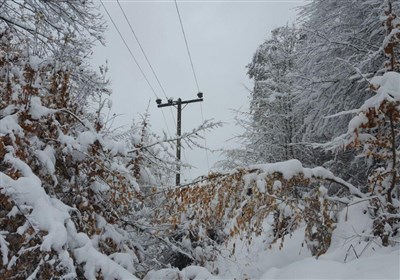 شکسته شدن بیش از 200 تیر برق در کرمانشاه براثر بارش برف