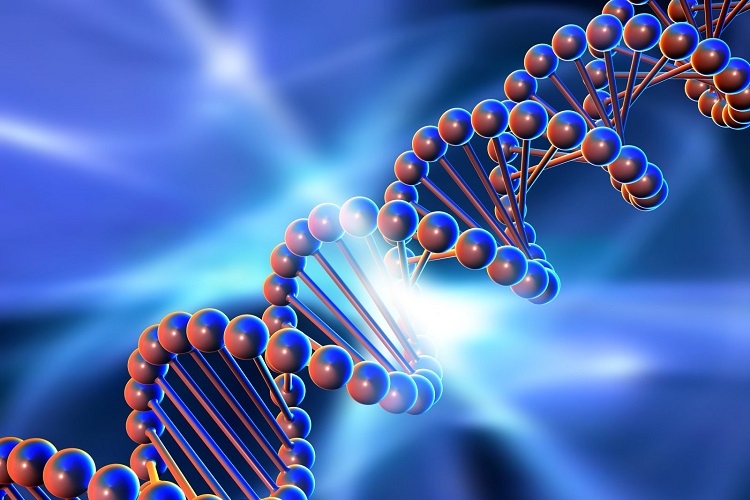ساخت کامپیوتر با استفاده از مولکول DNA