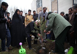 غرس ۵۰ هزار اصله نهال و درخت برای توسعه فضای سبز اردبیل