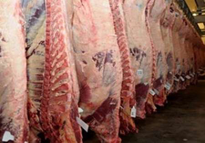 مرغ و گوشت بازار شب عید تأمین است/عرضه گوشت مرغ منجمد ۵۵۰۰تومان