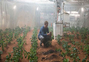 آزمایش کشت سیب زمینی در مریخ