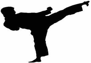 درخشش تیم کاراته کانون وکلای قزوین
