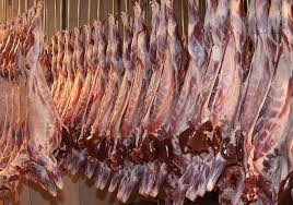 توزیع مرحله سوم گوشت گرم گوسفندی در استان زنجان