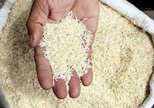 کشف بیش از 24 تن برنج خارجی قاچاق در خرم اباد