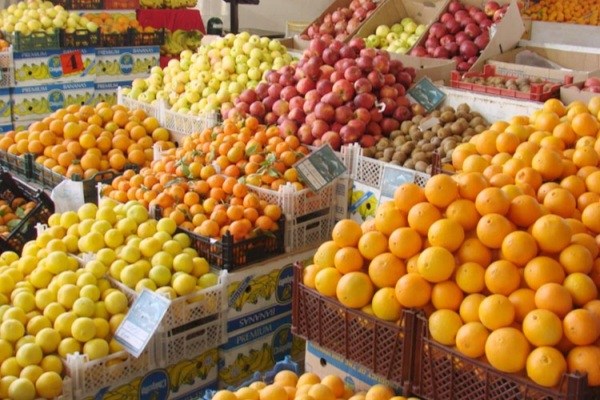 بازار عید آشفته است، چون متولی ندارد/ واردات میوه با سیاست های کلی اقتصاد مقاومتی در تضاد است