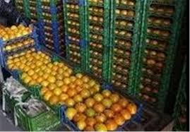 توزیع میوه شب عید در ۱۷ نقطه  شهر زاهدان