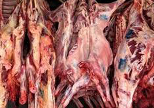 کشف و ضبط 46 تن گوشت فاسد
