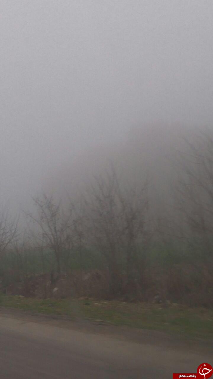 جاده آزادشهر به گرگان در مه ناپدید شد + تصاویر
