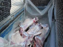 حمل غیربهداشتی گوشت درفضای مجاز دردسرسازشد