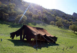 سیاه چادرهای عشایر میزبان مسافران نوروزی