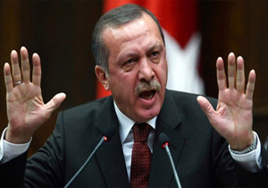 آلمان: اردوغان پایش را فراتر از حد خود گذاشته است