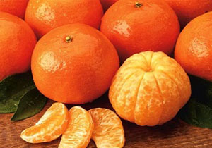 قیمت پرتقال جنوب در بازار چقدر است؟