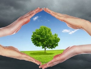 درختکاری بهترین راه حل برای پاک شدن هوای اراک
