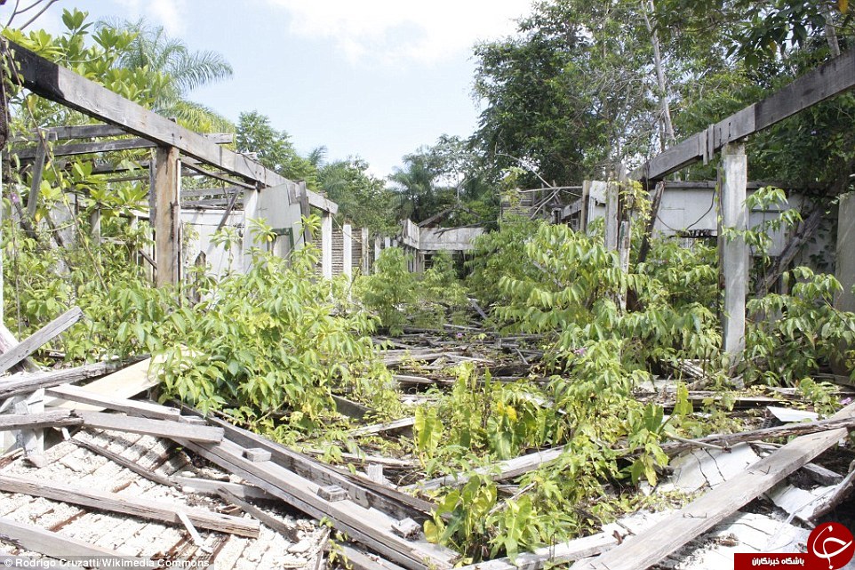 انتشار تصاویر غم‌انگیزی از شهر آرمانی هنروی فورد در اعماق جنگل آمازون