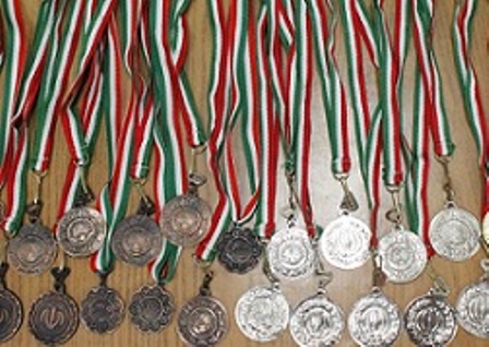 کسب 293 مدال از مسابقات ملی و بین المللی