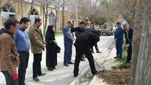 کاشت بیش از 100 اصل نهال توسط،شهروندان مشهدی