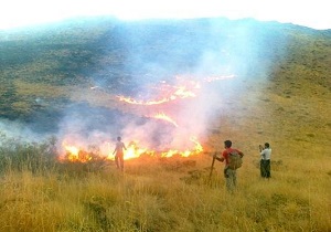 آتش سوزی در پنج هكتار از اراضي كشاورزي دهلران
