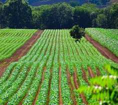 تامین آب اراضی کشاورزی حوضه کرخه متناسب با میزان قرارداد