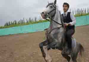 در گرامیداشت هفته جوان ، همایش اسب سواری در میاندواب