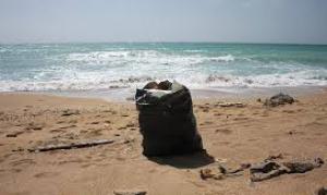پاکسازی ساحل لاک پشت ها با کمک کودکان