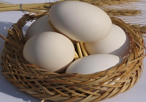 تخم مرغ ارزان می شود