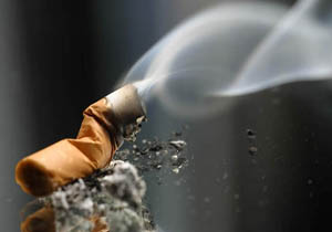 تصویب پروتکل مبارزه با دخانیات گام اساسی در مبارزه با مواد دخانی/ قلیان‌ها را گلدان کنیم